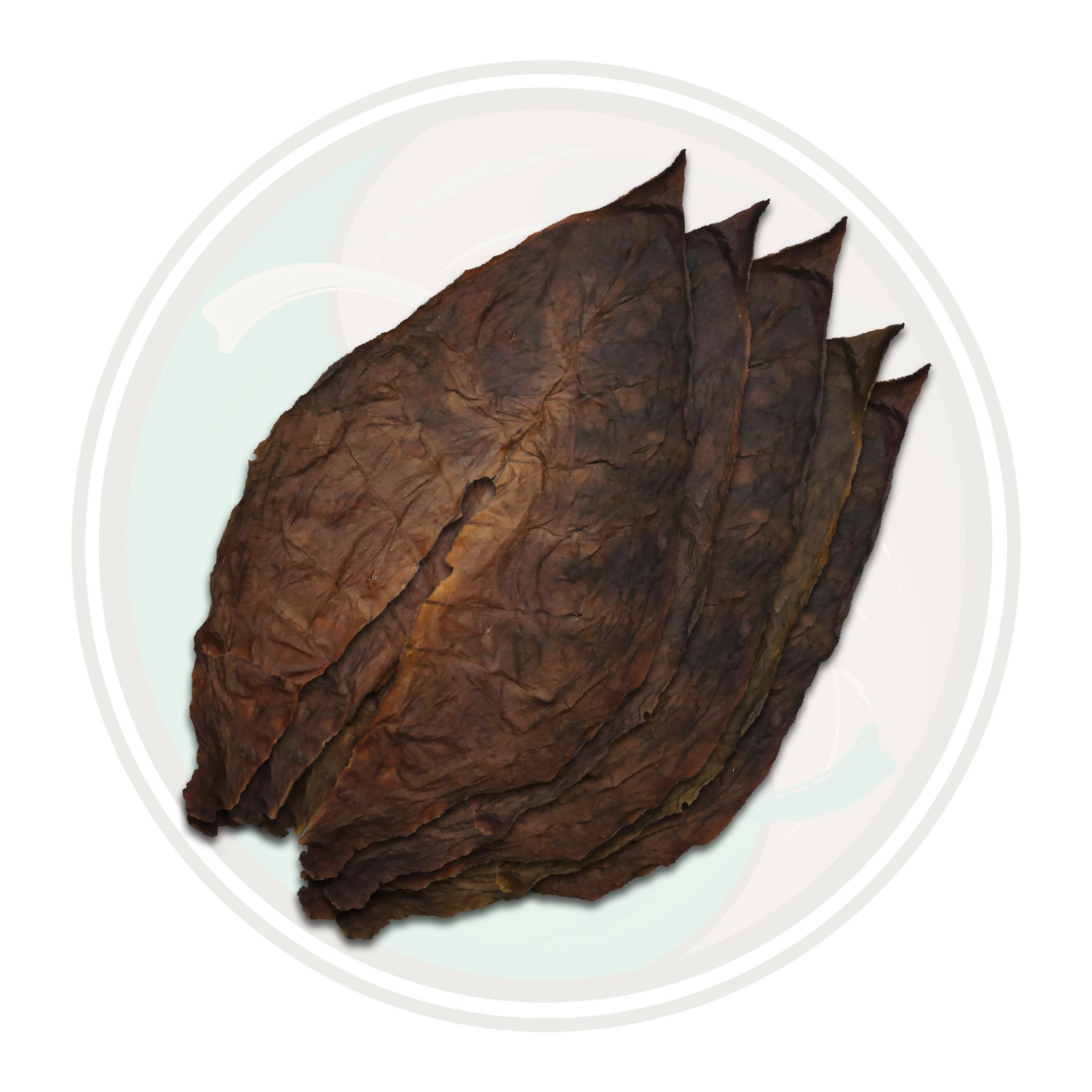 Brazilian Cubra Seco Cigar Filler Whole Tobacco Leaf